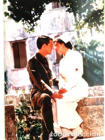 Cinema: de amor y guerra sandra bullock lobicard n 5