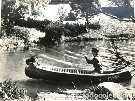 Cine: lobbycard el picaro pascal de walt disney - Foto 1