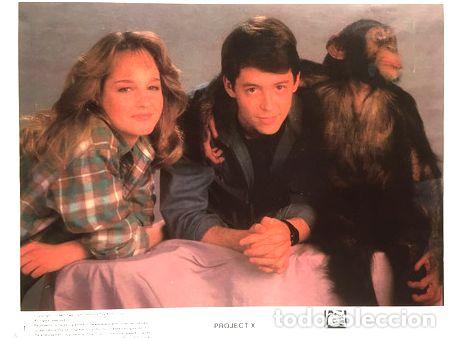 Cinema: lobicard n 2 proyecto x matthew broderick ano 1987 usa