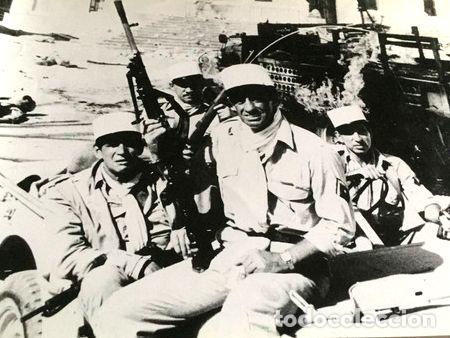 Cinema: los buitres jean p belmondo m laforet lobicard n 4 1984