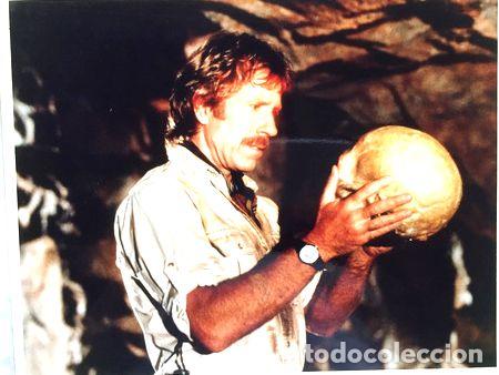 Cinema: lobicard n 9 chuck norris el templo del fuego