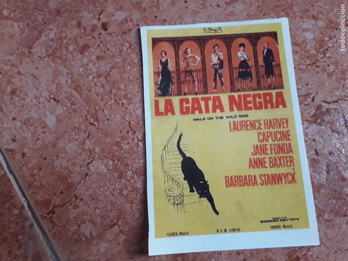 programa de cine folleto de mano la gata negra - Compra venta en  todocoleccion