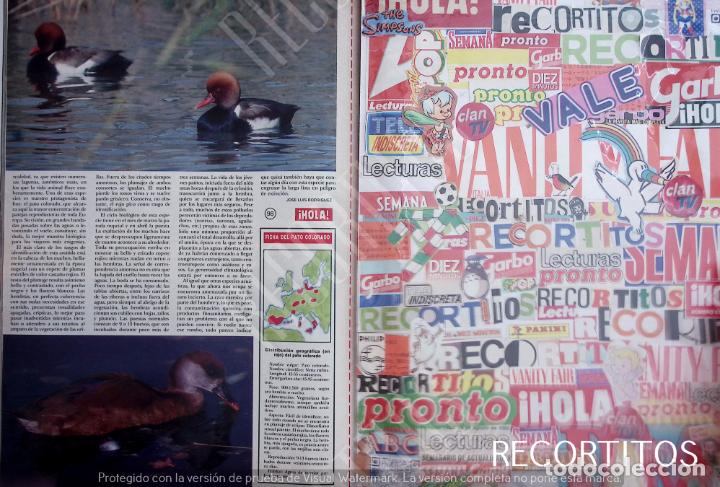 Cine: EL PATO COLORADO - Foto 2