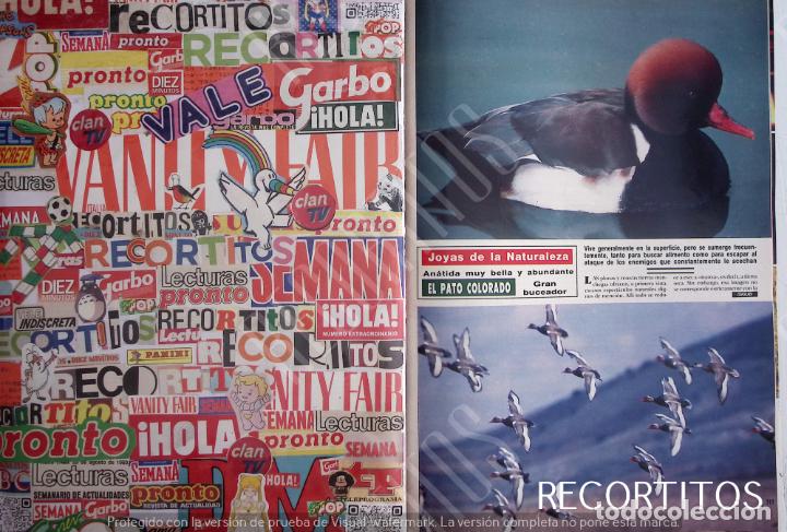Cine: EL PATO COLORADO - Foto 1