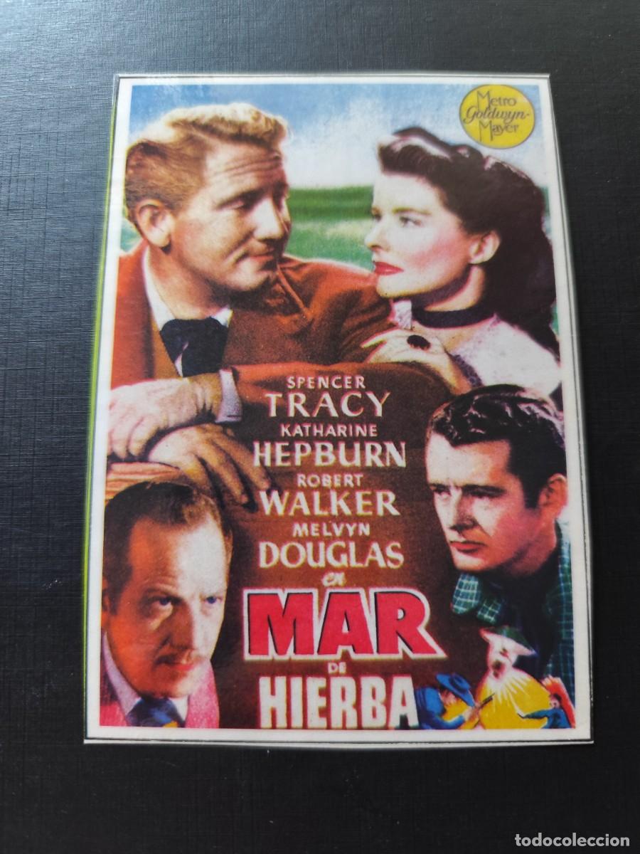 Cine: Mar de hierba plastificado - Foto 1