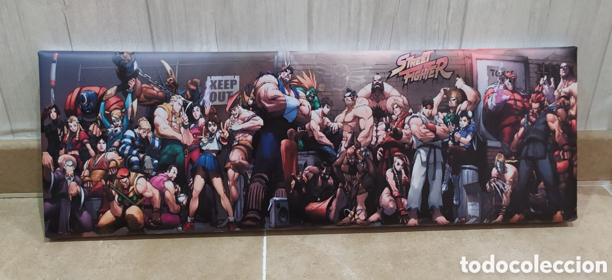 Cine: Cuadro STREETFIGHTER - Foto 1