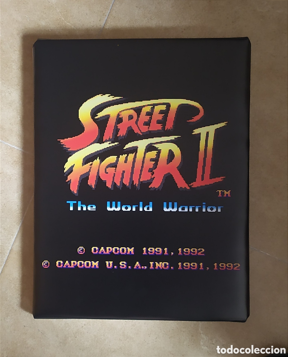 Cine: Cuadro STREETFIGHTER II - Foto 1
