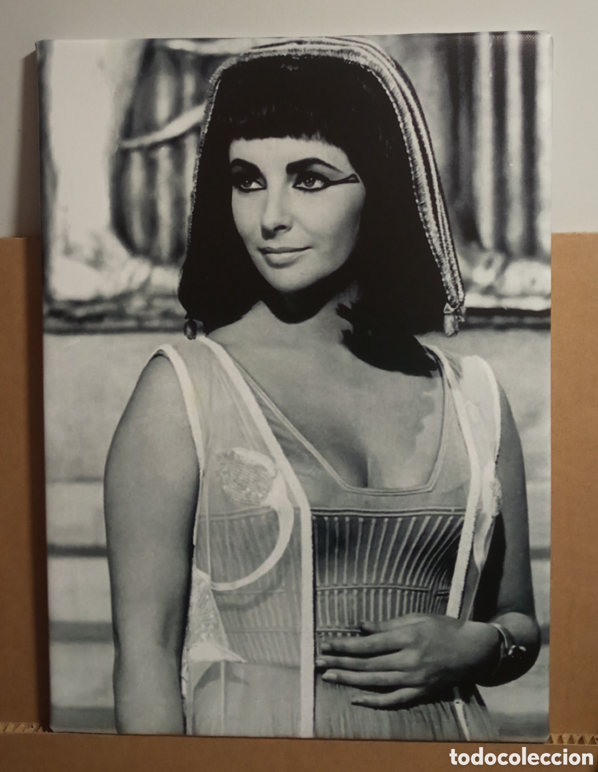 Cine: Cuadro ELIZABETH TAYLOR - Foto 1