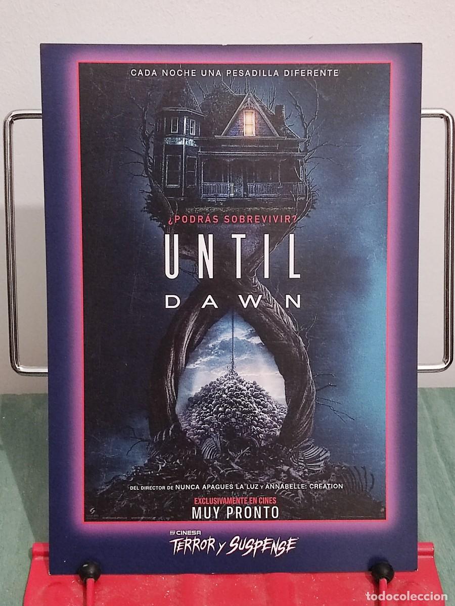 Cine: Cartel Until Dawn . ㅤ