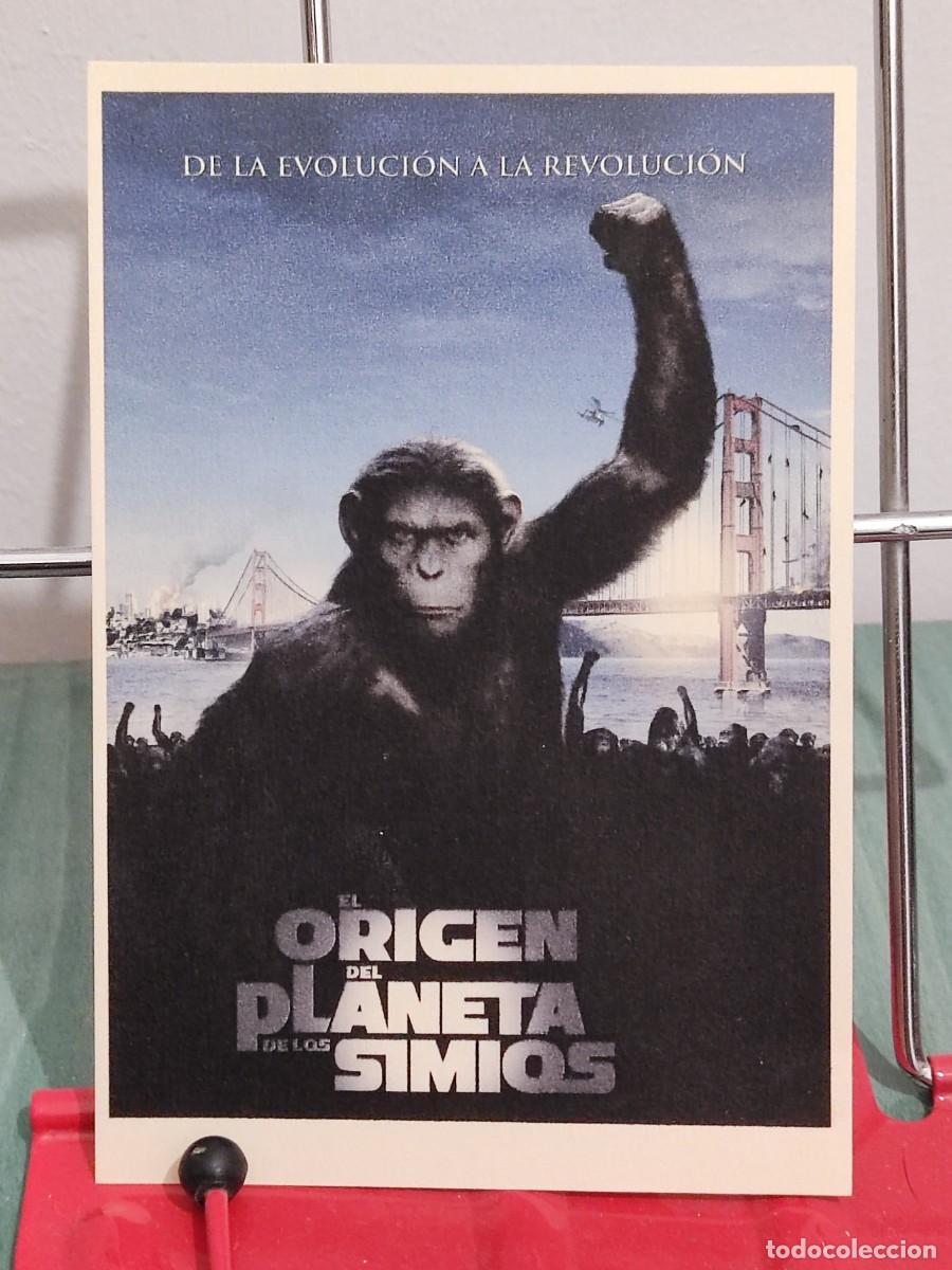 Cine: El origen del planeta de los simios . Reproduccion cartel