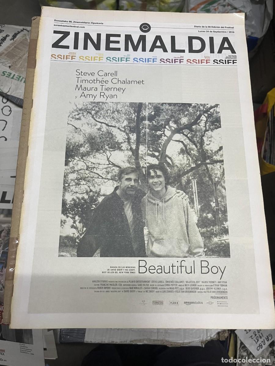 Cine: ZINEMALDIA DIARIO DE LA 66 EDICION DEL FESTIVAL SAN SEBASTIAN (24-9-2018) BEAUTIFUL BOY