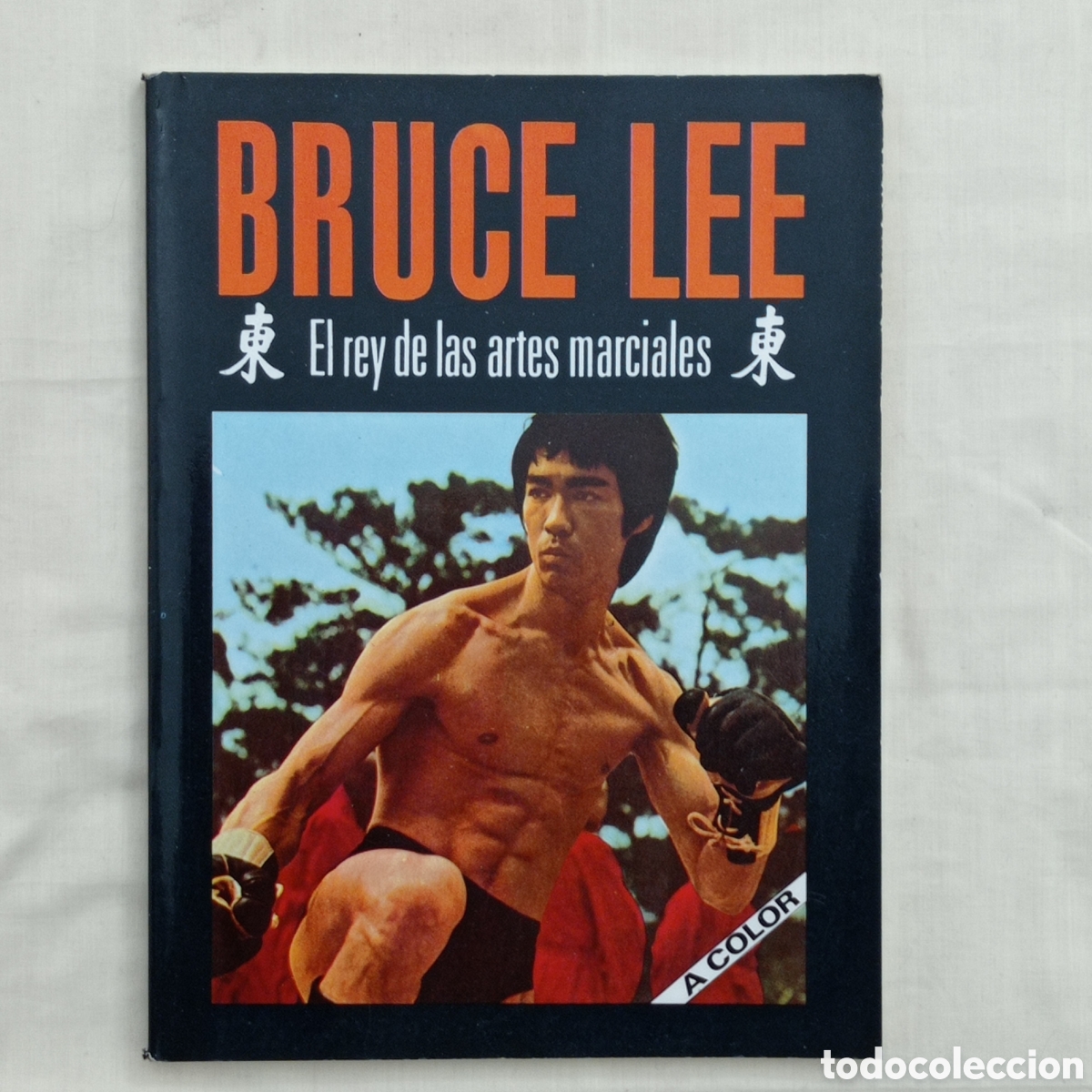 Cine: BRUCE LEE, EL REY DE LAS ARTES MARCIALES (ED.GAVIOTA 1987)