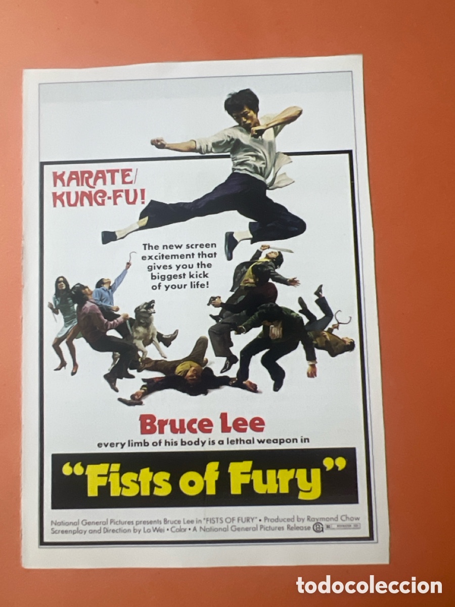 Cine: L0-5. COLECCI&Oacute;N CARTELES CINE ORIENTAL Y ARTES MARCIALES - FURIA ORIENTAL