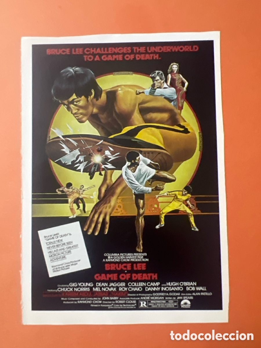 Cine: L0-5. COLECCI&Oacute;N CARTELES CINE ORIENTAL Y ARTES MARCIALES - JUEGO CON LA MUERTE