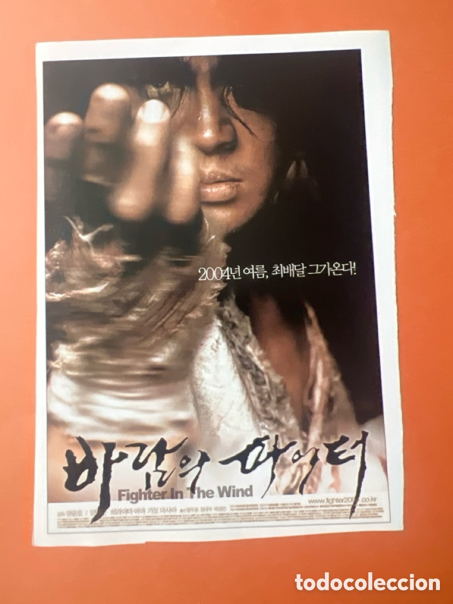 Cine: L0-5. COLECCI&Oacute;N CARTELES CINE ORIENTAL Y ARTES MARCIALES - FIGHTER UN THE WIND