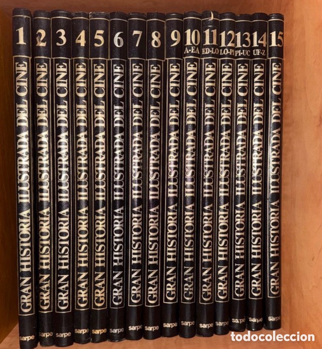 Cine: Vendo colecci&oacute;n completa GRAN HISTORIA ILUSTRADA DEL CINE de la editorial SARPE