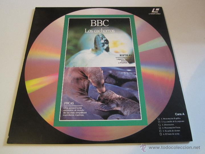 Cine: LASER DISC BBC LOS CACHORROS - Foto 1