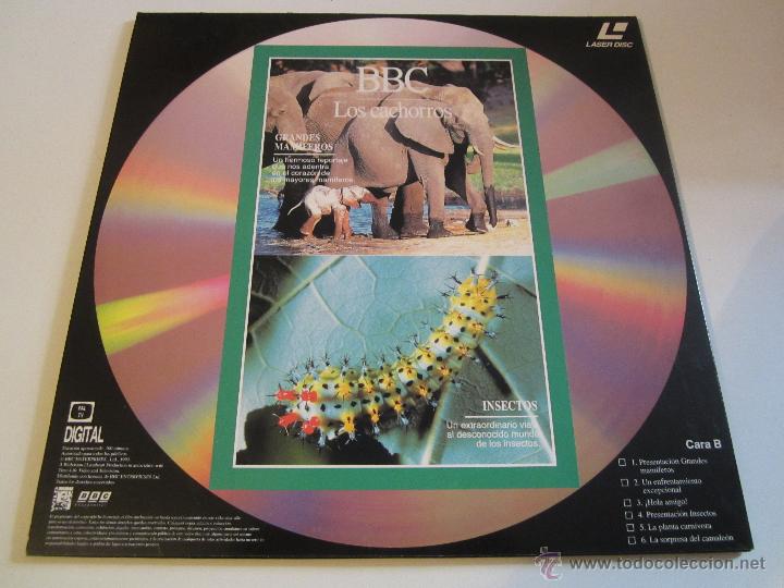 Cine: LASER DISC BBC LOS CACHORROS - Foto 2