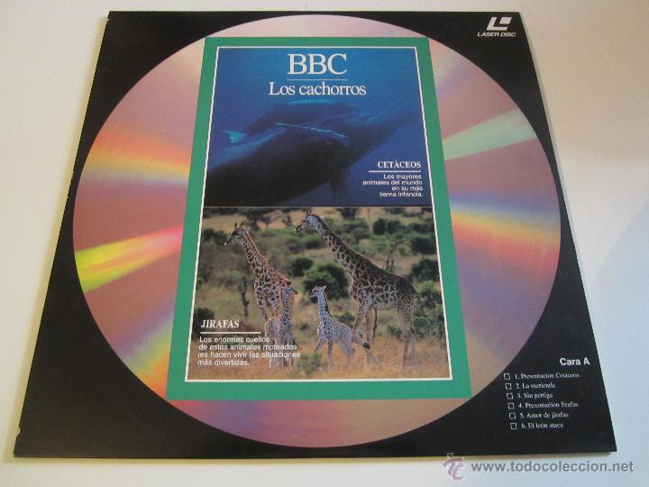 Cine: LASER DISC BBC LOS CACHORROS - Foto 1