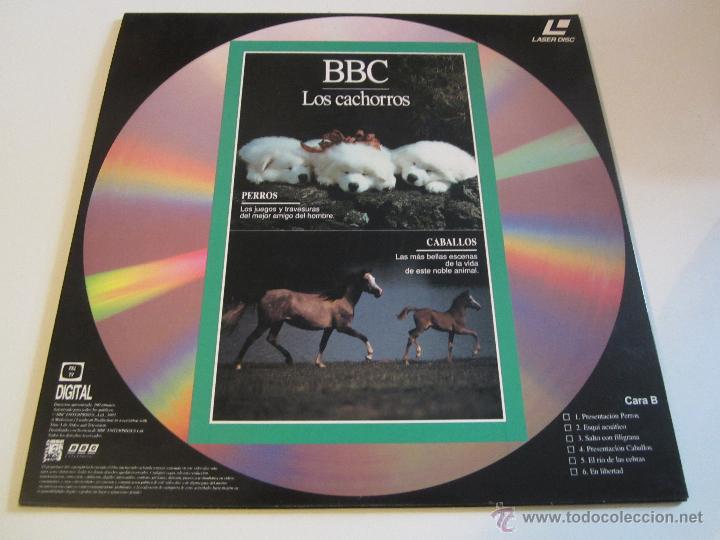 Cine: LASER DISC BBC LOS CACHORROS - Foto 2