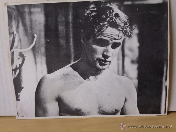 Cine: FOTOGRAF&Iacute;A MARLON BRANDO OFRT