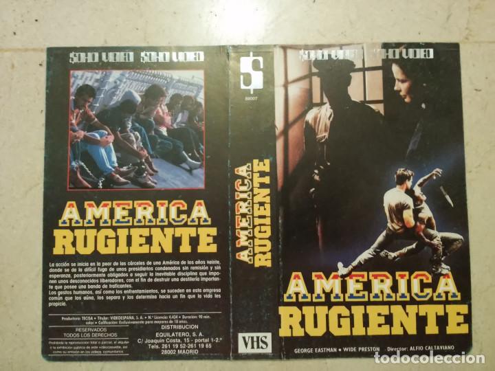 Cine: CARATULA ORIGINAL -A4- AMERICA RUGIENTE - TERROR - GEORGE EASTMAN - Cinque figli di cane-JOSE SUAREZ