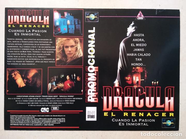 Cine: CARATULA ORIGINAL -A4- DRACULA EL RENACER - VAMPIROS - TERROR - STACEY TRAVIS