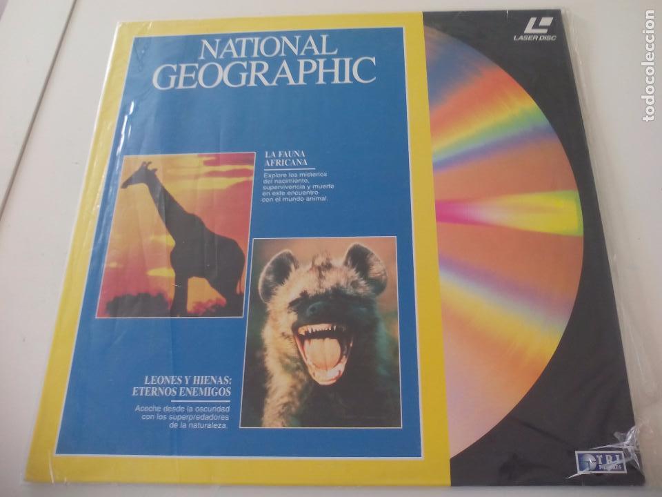 laser disc national geographic nº 1 fauna afric - Buy Other cinema  collectibles on todocoleccion