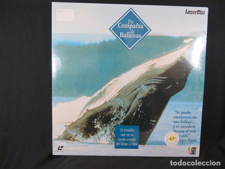 Cine: EN COMPA&Ntilde;&Iacute;A DE BALLENAS DOCUMENTAL-En Laser Disc - Foto 1