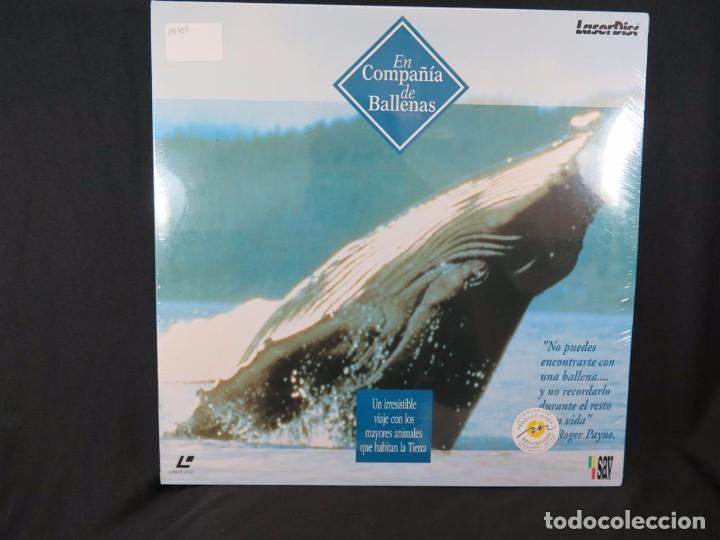 Cine: EN COMPA&Ntilde;&Iacute;A DE BALLENAS DOCUMENTAL-En Laser Disc - Foto 3