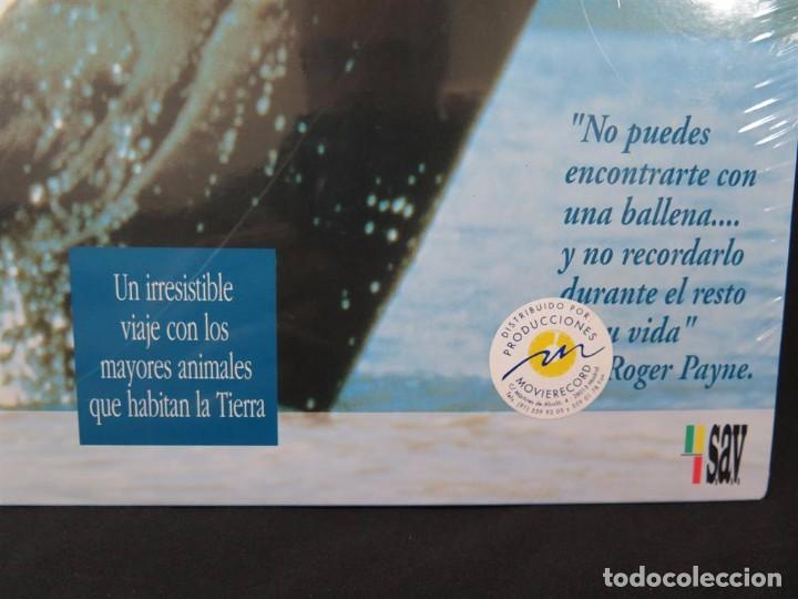 Cine: EN COMPA&Ntilde;&Iacute;A DE BALLENAS DOCUMENTAL-En Laser Disc - Foto 4