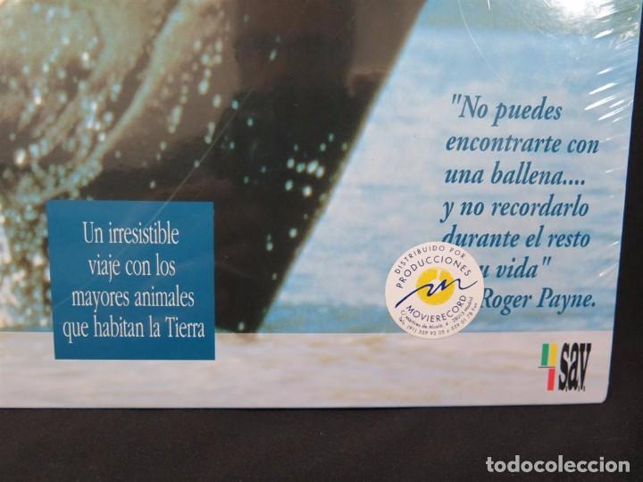 Cine: EN COMPA&Ntilde;&Iacute;A DE BALLENAS DOCUMENTAL-En Laser Disc - Foto 5