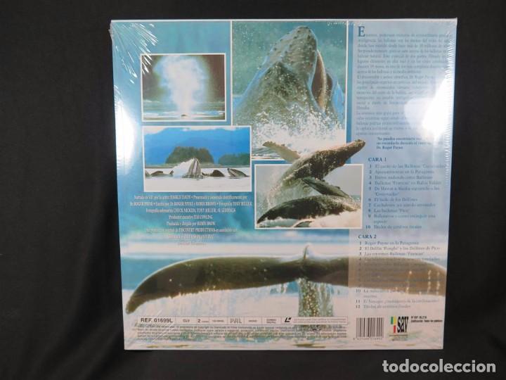 Cine: EN COMPA&Ntilde;&Iacute;A DE BALLENAS DOCUMENTAL-En Laser Disc - Foto 6