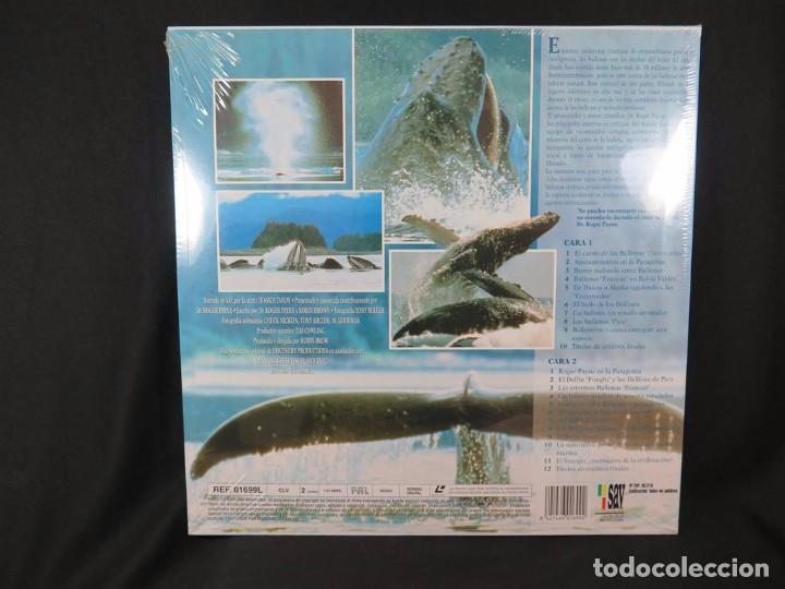 Cine: EN COMPA&Ntilde;&Iacute;A DE BALLENAS DOCUMENTAL-En Laser Disc - Foto 7