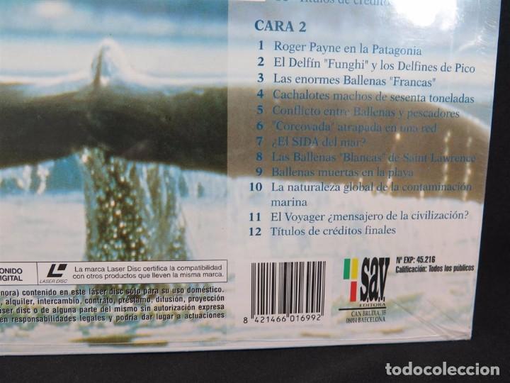 Cine: EN COMPA&Ntilde;&Iacute;A DE BALLENAS DOCUMENTAL-En Laser Disc - Foto 8