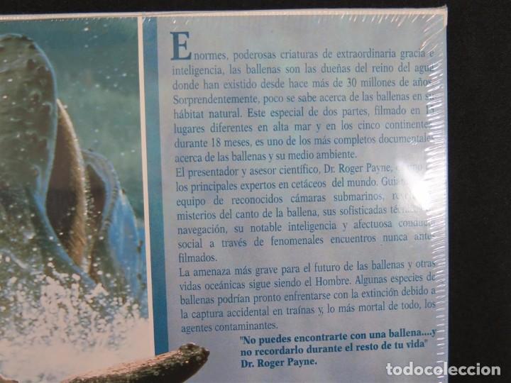 Cine: EN COMPA&Ntilde;&Iacute;A DE BALLENAS DOCUMENTAL-En Laser Disc - Foto 10