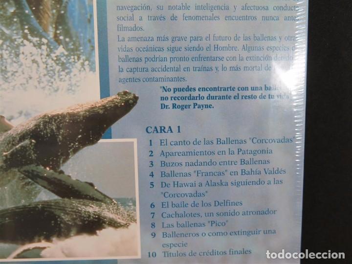 Cine: EN COMPA&Ntilde;&Iacute;A DE BALLENAS DOCUMENTAL-En Laser Disc - Foto 11