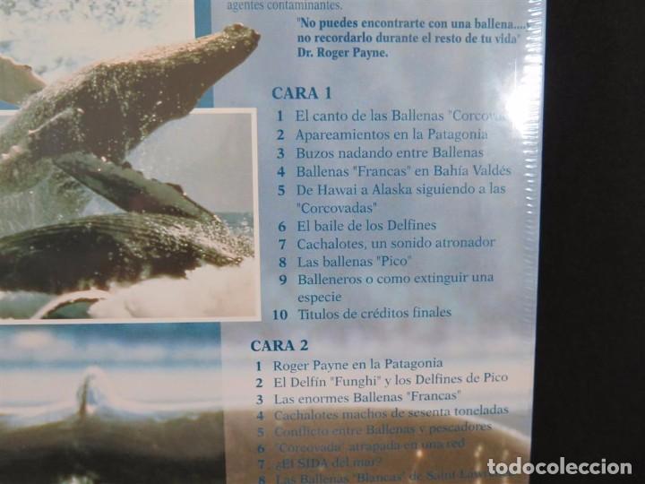 Cine: EN COMPA&Ntilde;&Iacute;A DE BALLENAS DOCUMENTAL-En Laser Disc - Foto 12