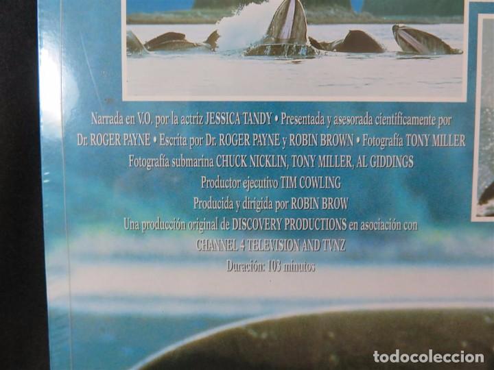 Cine: EN COMPA&Ntilde;&Iacute;A DE BALLENAS DOCUMENTAL-En Laser Disc - Foto 13