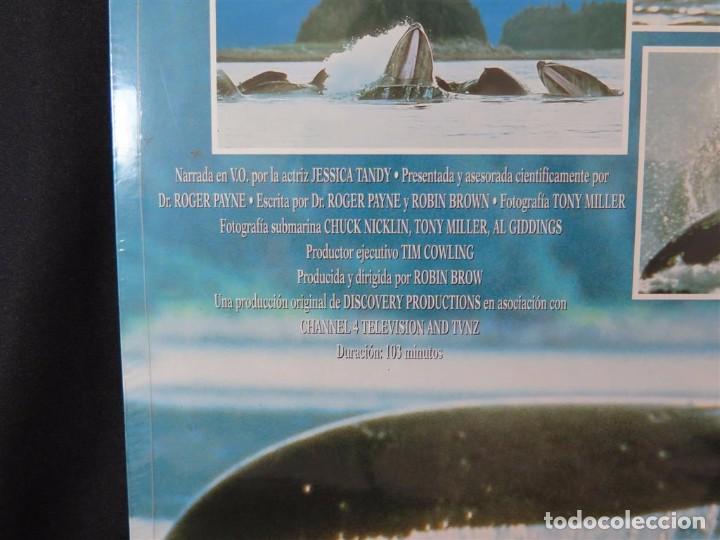 Cine: EN COMPA&Ntilde;&Iacute;A DE BALLENAS DOCUMENTAL-En Laser Disc - Foto 14