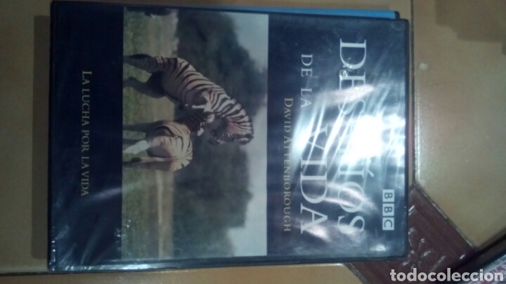 Cine: Dvd desaf&iacute;os en la vida - Foto 1