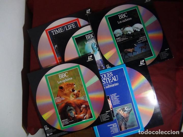 Cine: Lote de 10 Laser Disc - Jacques Costeau y BBC - Documentales - Foto 3