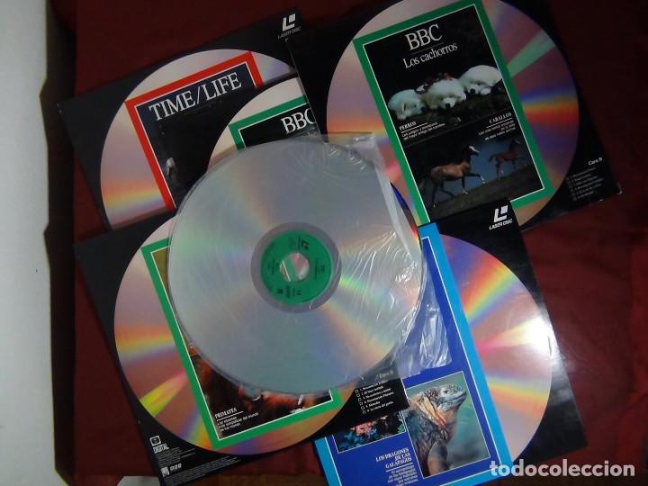 Cine: Lote de 10 Laser Disc - Jacques Costeau y BBC - Documentales - Foto 4
