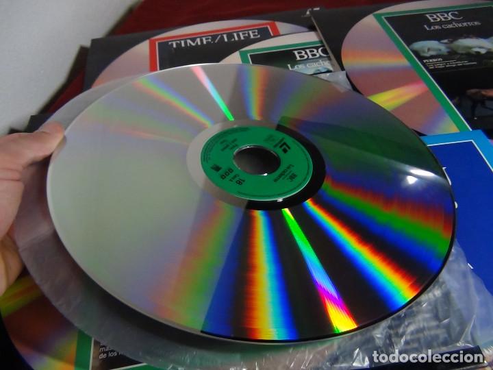 Cine: Lote de 10 Laser Disc - Jacques Costeau y BBC - Documentales - Foto 5