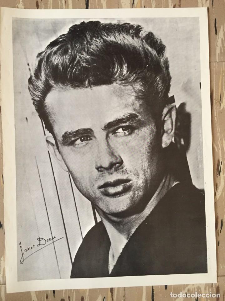 Cine: LAMINA JAMES DEAN 43 X 32 CM