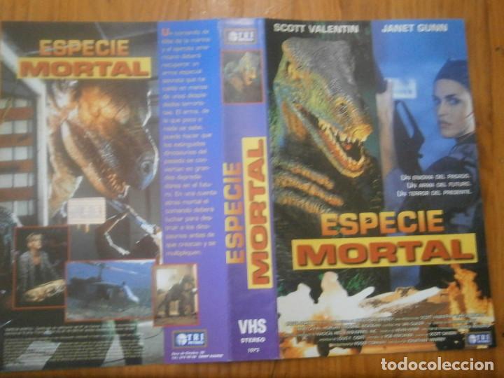 Cin&eacute;ma: &iexcl;&iexcl;SOLO CARATULA&iexcl;&iexcl; ediccion video club&iexcl;&iexcl;&iexcl;&iexcl;&iexcl;&iexcl;&iexcl;&iexcl;&iexcl;&iexcl;no se admite de bolucciones&iexcl;&iexcl;''