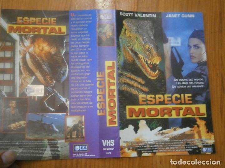 Cin&eacute;ma: &iexcl;&iexcl;SOLO CARATULA&iexcl;&iexcl; ediccion video club&iexcl;&iexcl;&iexcl;&iexcl;&iexcl;&iexcl;&iexcl;&iexcl;&iexcl;&iexcl;no se admite de bolucciones&iexcl;&iexcl;''