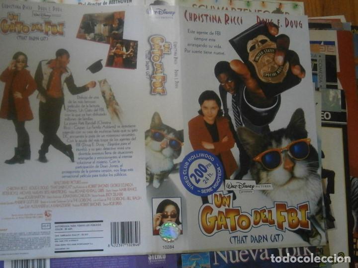 Kino: Gato &iexcl;&iexcl;CARATULA ORIGINAL &iexcl;&iexcl;DE VIDEO CLUB&iexcl;&iexcl;SOLO CARATULA&iexcl;&iexcl;