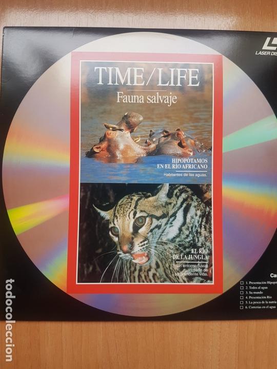 Cine: LASER DISC - TIME/LIFE - FAUMA SALVAJE - Foto 1