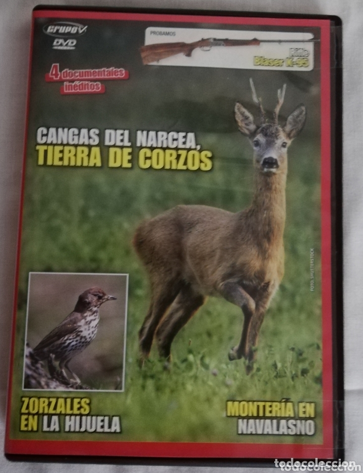 Cine: DVD CANGAS DEL NARCEA, TIERRA DE CORZOS - Foto 1